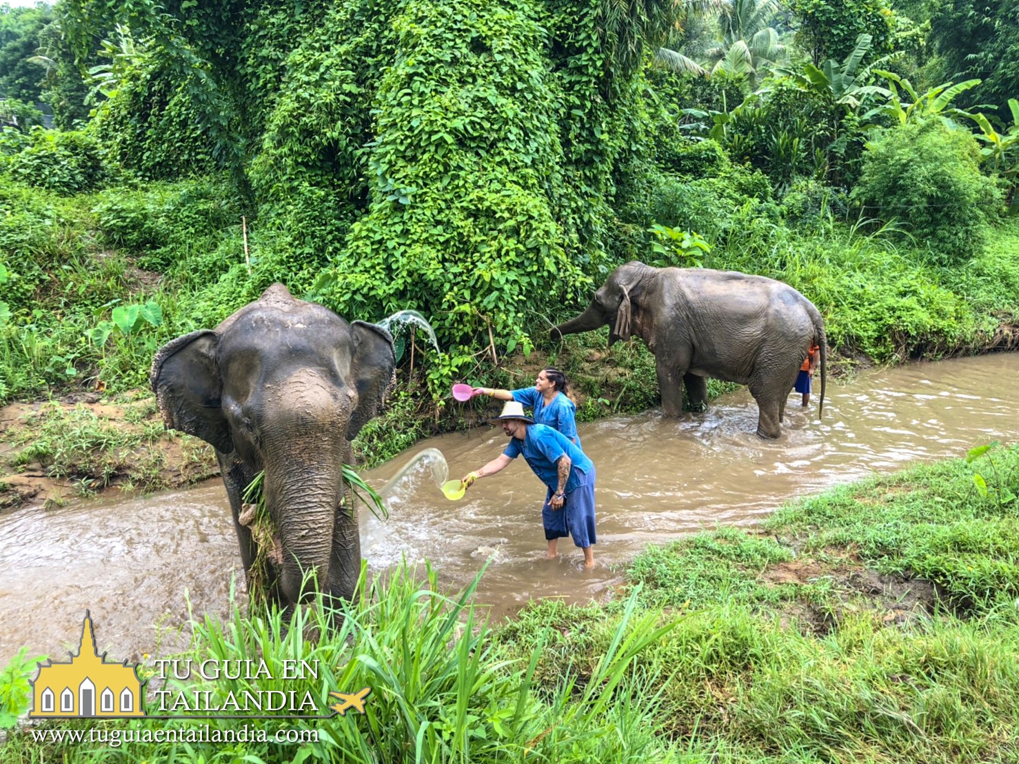 Interactuando con elefantes en Tailandia.