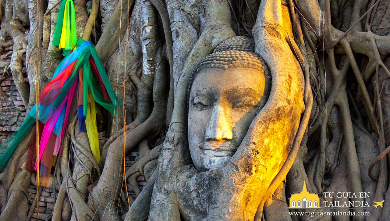 cabeza de Buda en Ayutthaya