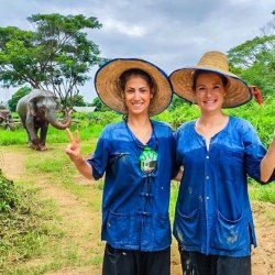 elefantes en tailandia