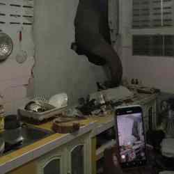 EL ELEFANTE SALVAJE VUELVE A VISITAR A LA FAMILIA TAILANDESA.