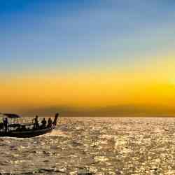 pexels photo 6510555