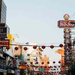 pexels photo 11244880