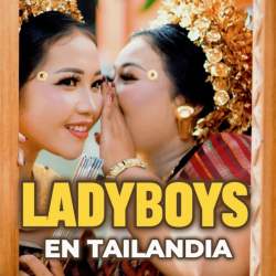 LADYBOYS EN TAILANDIA, el fenómeno cultural