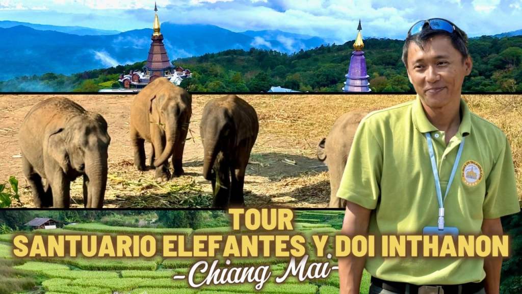 Tour Santuario Elefantes y Doi Inthanon Tu Guia en Tailandia