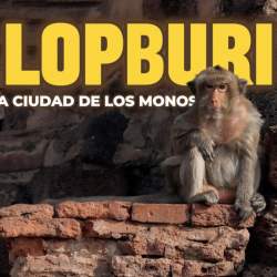 LOPBURI, la ciudad de los monos en Tailandia