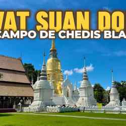 Wat Suan Dok: campo de chedis blanco