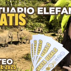 SORTEO NOVIEMBRE Santuario Elefantes