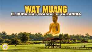 Wat Muang, el templo del Buda más grande de Tailandia ()
