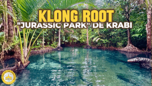 Que es Klong Root en Krabi ()
