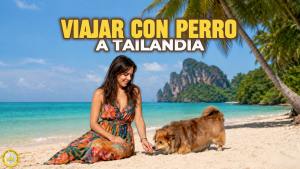 Viajar con perro a Tailandia ()